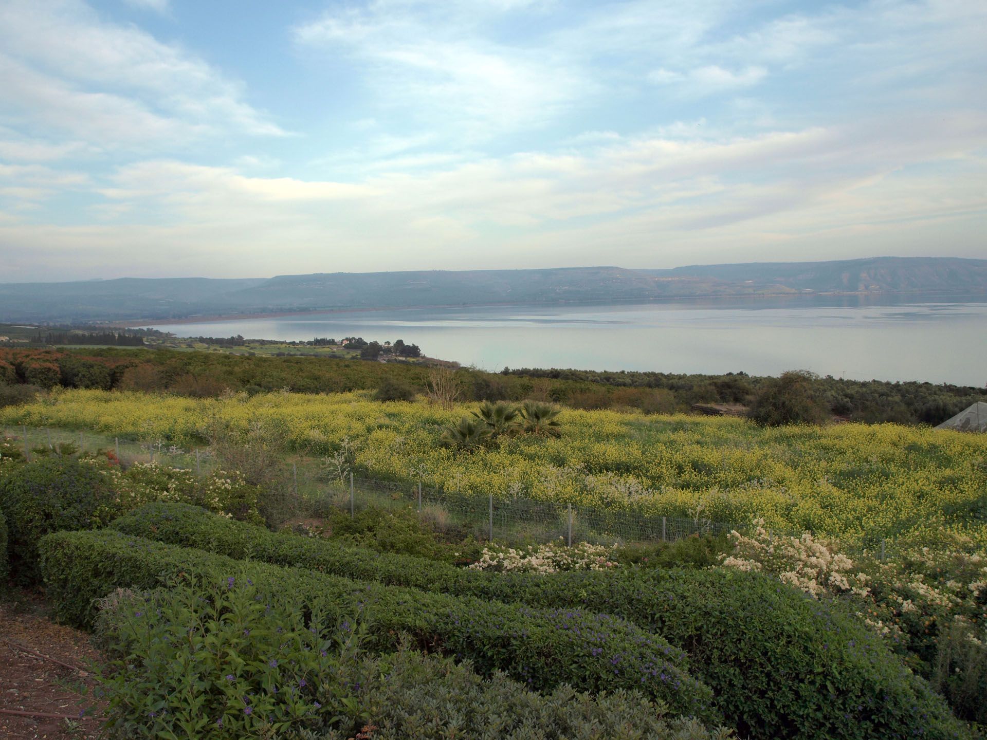 The Sea of Galilee seen across fields from the Mount of the Beatitudes